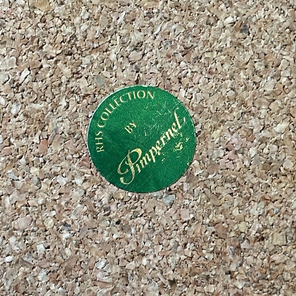 VTG PIMPERNEL Brunch Fruits Placemats Set of 3 Cork back Made in England - Picture 6 of 9